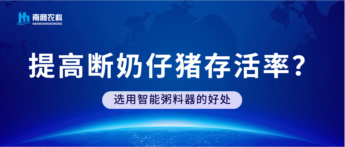 如何提高斷奶仔豬存活率？選用智能粥料器的好處